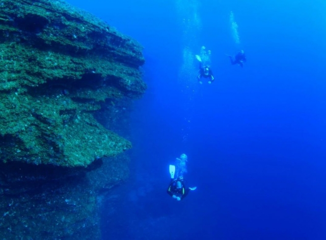 Sumergidos junto a roca volcanica.jpg